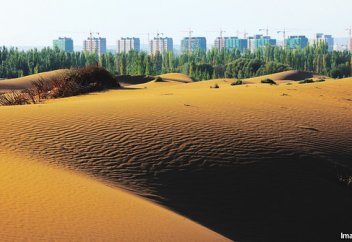 Шөлейттенуге қарсы 1,7 млрд ағаш отырғызылды