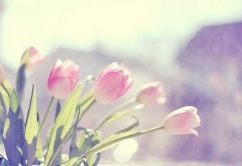 Әйелінің айқайы