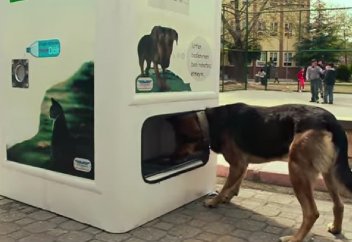 В Стамбуле открыт автомат, который кормит бездомных животных (Фото).
