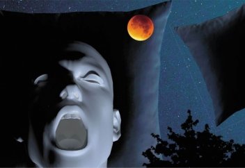 Исследование: откуда берутся садизм и жестокость