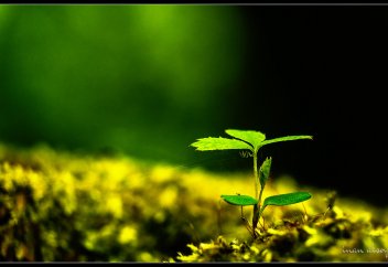 Иногда я желаю себе смерти, является ли это грехом?