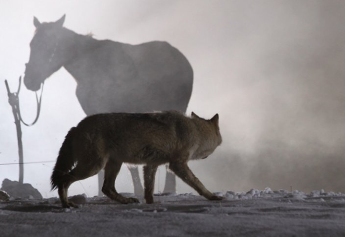 Немецкий журнал обвинил Россию в неуважении к Казахстану