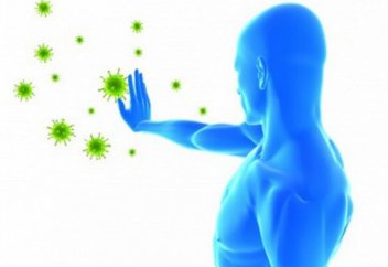 10 болезней, от которых оберегает Ислам