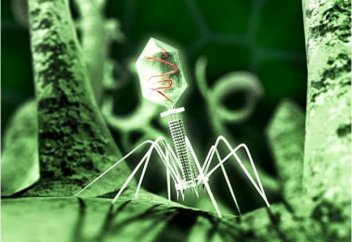 Түсініксіз вирусты әлемге тарататын кім?