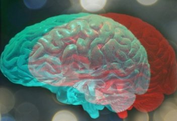 Wired (США): произойдет ли при пересадке человеческой головы пересадка сознания?