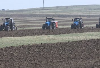 ҚАРАҒАНДЫ ОБЛЫСЫНДАҒЫ ЖАЗЫҚ ДАЛА ҚАЛЫҢ ОРМАНҒА АЙНАЛАДЫ