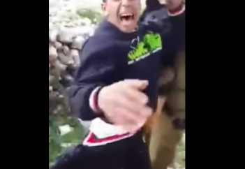 Баланы итке талатқандарды жауапқа тартуды талап етті