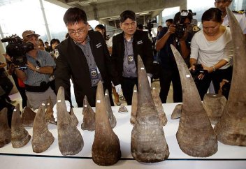 Законодатели ЕС призывают орган ООН принять жесткие меры по борьбе с незаконной торговлей дикими животными к 2030 году