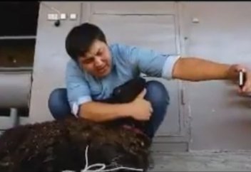 Лайктан сауап жақсы!