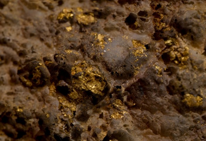 Түркітілдес ел аумағынан 100 млрд долларға бағаланатын алтын кені табылды