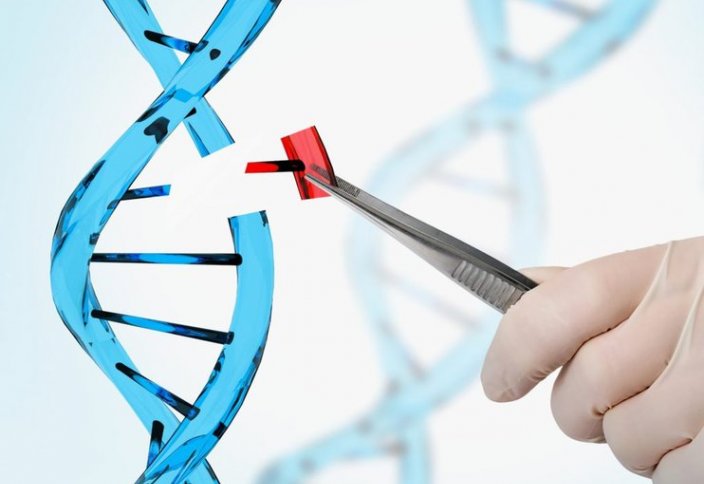 Генетики открыли способ безопасного редактирования ДНК