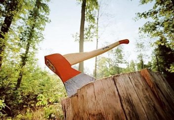 Орманның оталуынан өлім-жітім көбейіп келеді