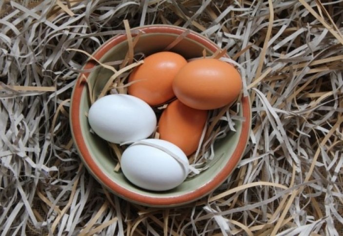 Как повысить яйценоскость кур – простые советы