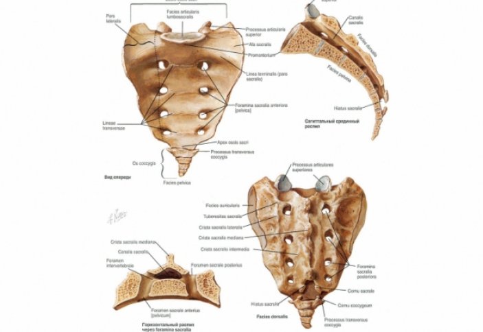 Адамның артық ағзасы бар ма? Немесе кесіп тастау арқылы емдеп жазу қаншалықты тиімді?