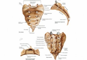 Адамның артық ағзасы бар ма? Немесе кесіп тастау арқылы емдеп жазу қаншалықты тиімді?
