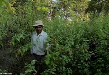 Бір өзі ну орман өсірген адам (фото+видео)