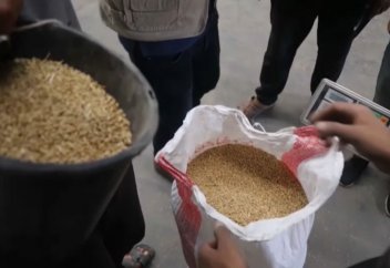 Әлемде 280 млн адам тойып тамақ ішпейді