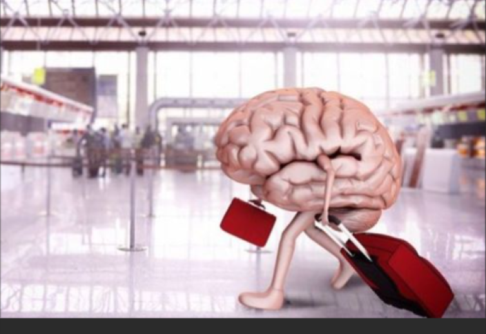 Бір ғана мұсылман елі білікті мамандардың шетел асуынан жыл сайын 4 млрд доллардан аса шығын көріп келеді