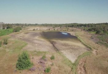 ШЫМТЕЗЕКТІҢ ПАЙДАСЫ ЖӘНЕ ОҒАН ТӨНГЕН ҚАУІП