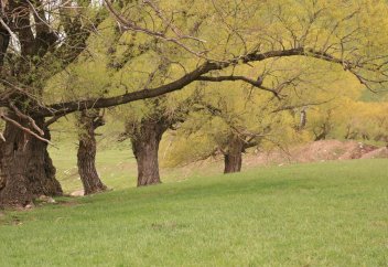 Табиғат заңдары мен нәтижелері  және жаратылыстағы себептер мен салдарлары
