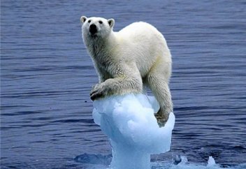 The Guardian (Великобритания): нашествие белых медведей, пчелогеддон... Мы сами виноваты!