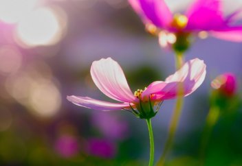 Ораза мінез-құлықты түзейді