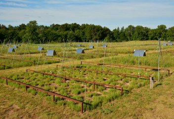 Жаһандық жылынудың экологиялық жүйеге әскері қандай?