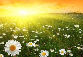 Рай только за один ПОСТУПОК | Мечеть Буйнакска | Ислам | Хадис