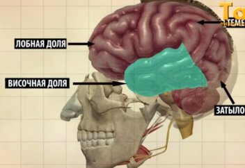 Научные факты в Коране - Лоб человека и ложь.