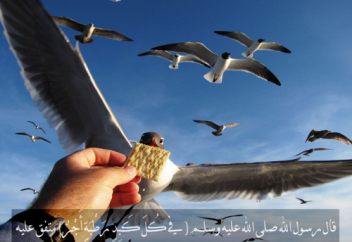 Хадис шәріп