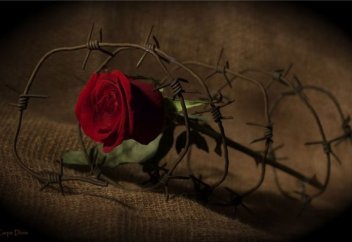 Тағ­дыр­ды сылтау ету дұ­рыс па?