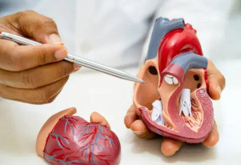 Мировой рынок TAVR достигнет $14,06 млрд к 2035 году