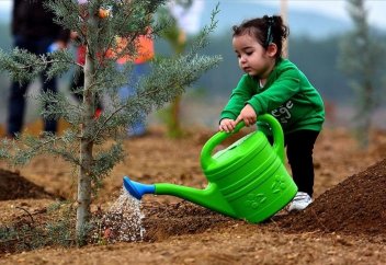 В Турции до 2023 года планируют высадить 1,6 млрд саженцев