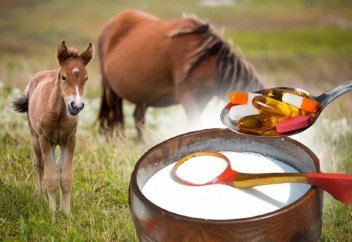 САУМАЛ ЭКСПОРТЫНЫҢ МҰНАЙҒА ҚАРАҒАНДА КӨБІРЕК ТАБЫС ӘКЕЛЕТІНІ АЙТЫЛДЫ