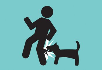 Иті қапқаннан кісі қаза тапса немесе жарақат алса, қожайыны бас бостандығынан айырылады