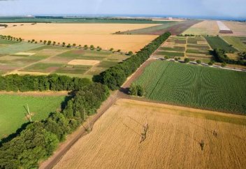 Қазақстандықтар ауыл шаруашылық жерлерін конкурс арқылы жалға алатын болады
