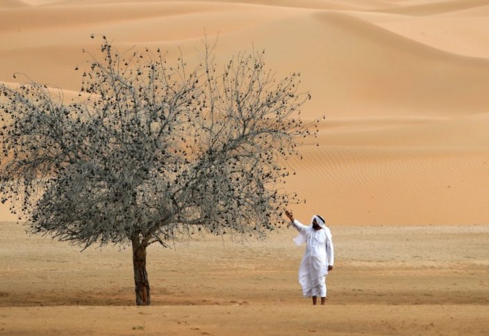 Как страны Ближнего Востока справляются с изменением климата?