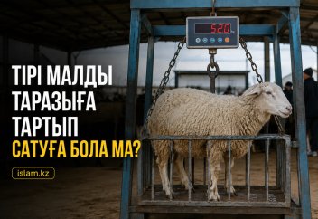 asdf