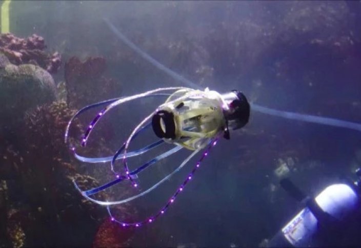 Ученые показали робота-кальмара. Он плавает и фотографирует морских обитателей (виедо)