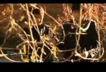 Алладан қарызын өтеуге көмектесуін сұрау