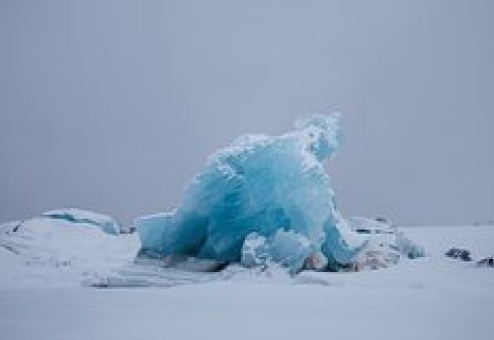 Арктикалық мұз ішінен таңғажайып организм табылды