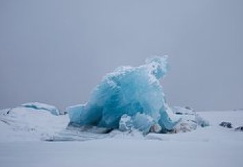 Арктикалық мұз ішінен таңғажайып организм табылды