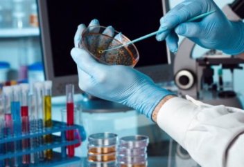 Разные: Учёные разработали устройство для обнаружения инфекций на базе смартфона. Учёные создали приложение для смартфона, диагностирующее COVID-19 по кашлю