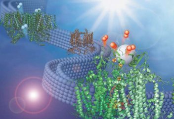 Водородное топливо из воды: прорыв ученых