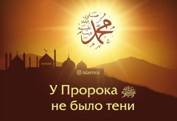 Почему у Пророка ﷺ не было тени?