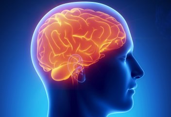 Ораза адамның зеректігі мен ойлау қабілетін арттырады