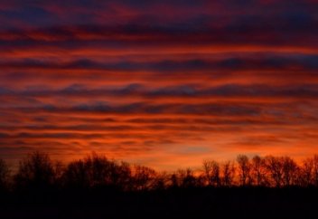 Дәрігердің кеңесінен кейін...