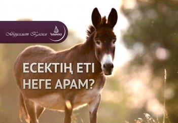 Есектің еті неге арам?