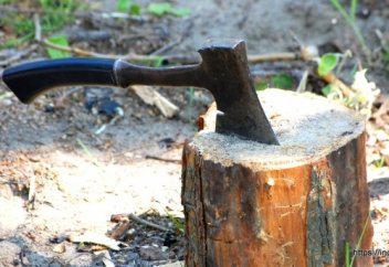 Житейские притчи: Украденный топор или притча о поспешных выводах