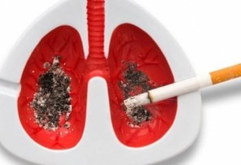 Ғалымдар өкпені никотиннен тазарту жолын айтты